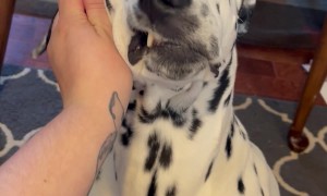 How to Know When you Find the Good Scratch Spot