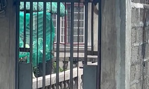 Paxton The Aspin Climbs Over The Gate