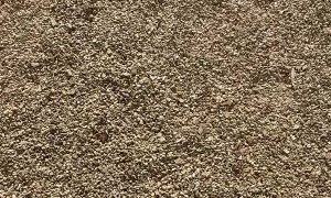 Ducklings Have Zero Table Manners