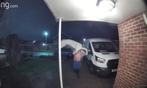 Tangled In The Tempest