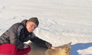 Petting a Wild Deer Goes Poorly