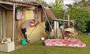 Climbing Kitten Briefly Traps Itself Under Mattress