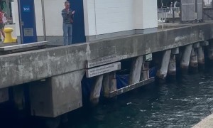 Crowd Cheers For Nervous Jumper