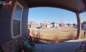 Mom Trips and Falls Off Steps and Apologizes