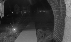 Porch Bird Panics Package Grabber