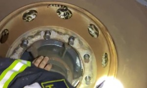 Snake Removed From Truck Tire