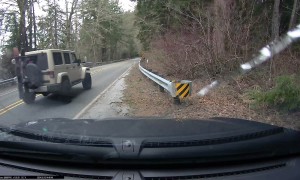 Tree Branch Falls On Windshield
