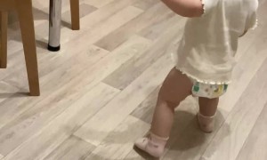 Dizzy Baby Bounces Off Cabinet