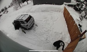 Snowblower Shatters Rear Windshield