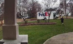 Little Dog Chases Away Mailman