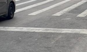 Summer Street Fight In Brooklyn