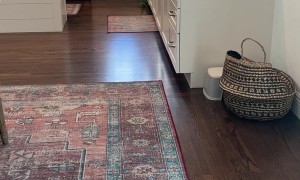 Iguana Sprints Across House