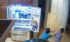 Brothers Topple Shelf Climbing on Refrigerator