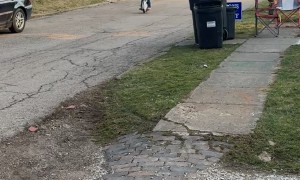 Boy In Taco Costume Rolls Down Street On Electric Unicycle
