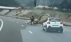 French Paratrooper Soldier Lands on Highway