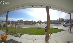 Son's Attempt to Wrangle Escaped Turkey is Adorable