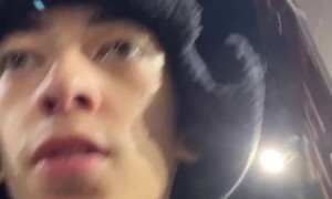 Seagull Screams on the Sidewalk