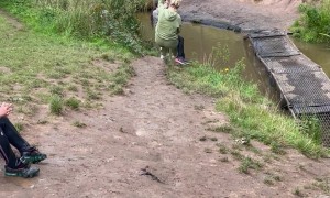 Woman Falls Into Stream While Trying to Get Off Swing