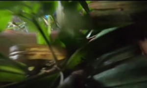 Cyclist falls off bridge while attempting to help fellow cyclist 