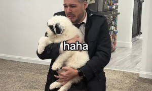 Man Melts Over New Puppy