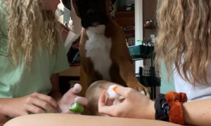 Boxer Is Ready For a Manicure