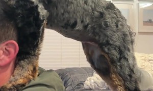 Naughty Dog Wants a Bite