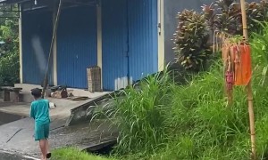 Very Tall Umbrellas in Indonesia