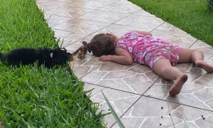 Pup Pulls Girl's Hair