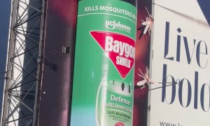 Baygon Billboard Turns Heads