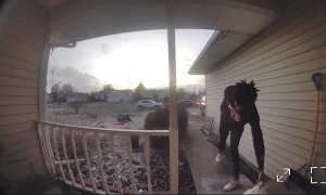 Cat Scares DoorDash Delivery Driver