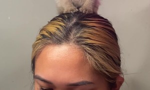 Sleepy Kitten Supervises Nail Tech