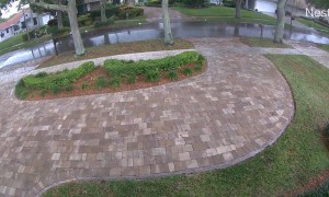 Lightning Strikes Oak Tree And Scatters Debris