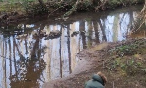 Man Jumps Into Knee-Deep Mud