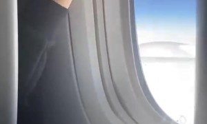 POV: The Kid in Front of Me Tries to Close My Window Shade