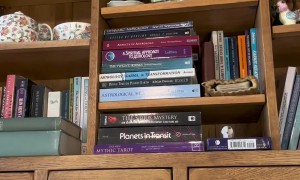 Malicious Cat Commits the Purrfect Crime