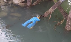 Sea Otter Tries on Pants