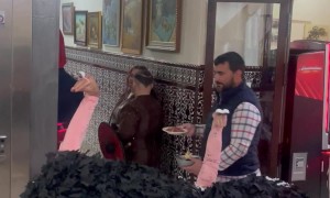 Carnival Costume Turns People Into Ostriches