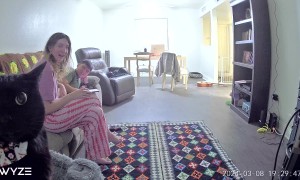 Cat Stares Into Camera