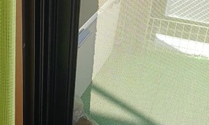 Turtle Opens Sliding Door