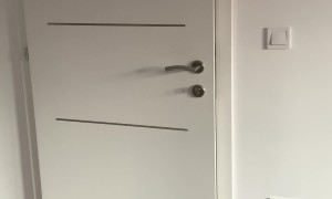 Cat Learns How to Open Door