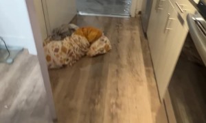 Miami Apartment Building Floods