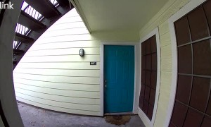 Neighbor Chased by Stray Dog