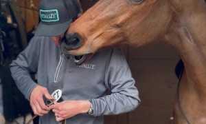 A Sweet Moment Between Horse and Human