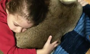 Girl Hugs a Very Docile Deer