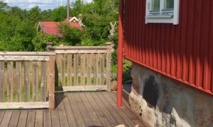 Couple Workout With Dogs