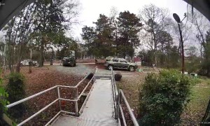 Friendly Hen Scares Away Amazon Driver