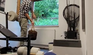 Plant Explodes After Man Fails to Throw it Through Window