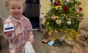 Toothpaste Stocking Stuffer Brings Toddler Happiness