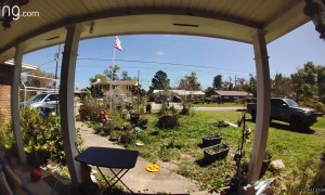 Altercation Between Mail Carrier and Package Sender