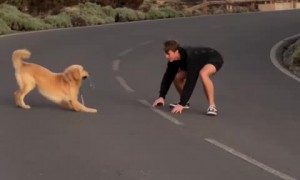 Having fun with your dog is the best vibe ever 